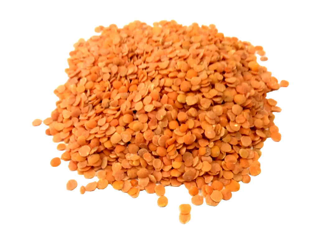 Kırmızı mercimek taneleri